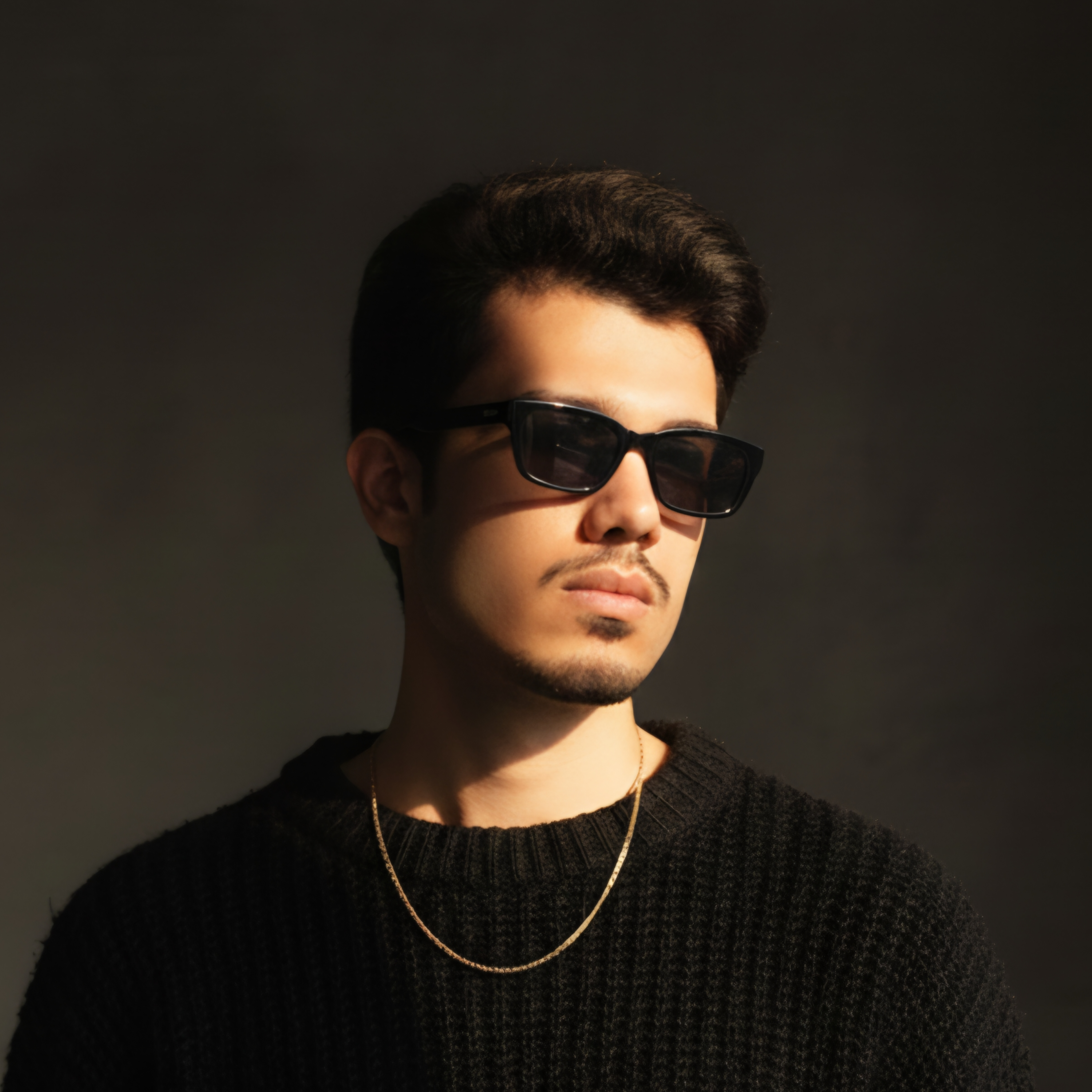 Farzad Raha Portrait